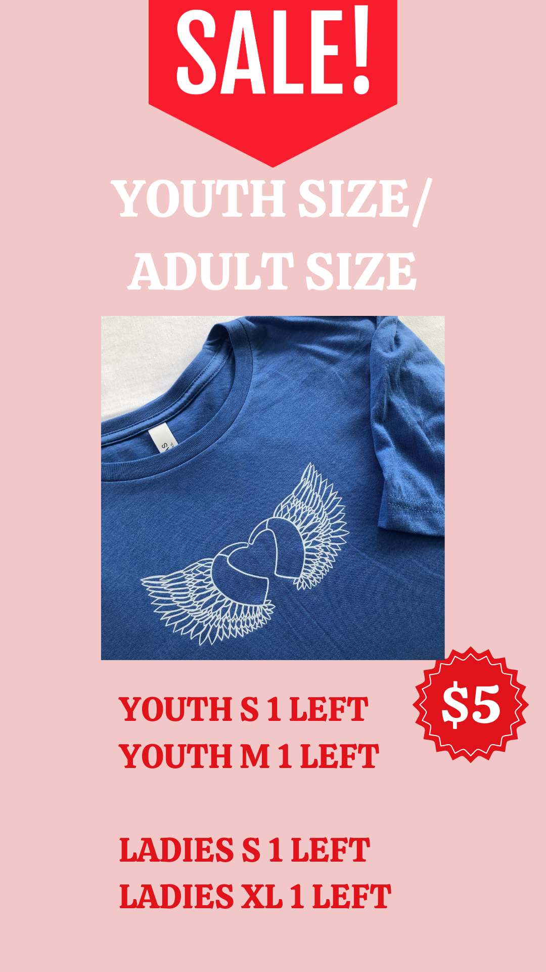 $5 Blue Angel Wings